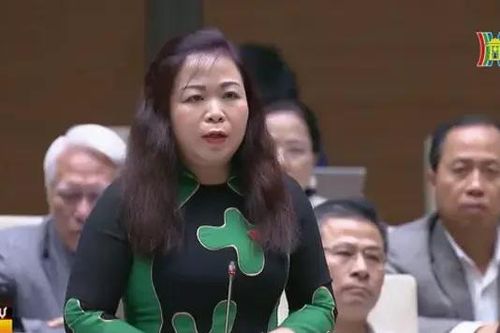 Tư duy lối mòn trong xây dựng pháp luật