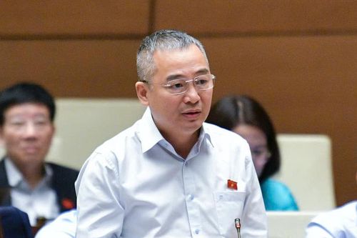 ĐBQH: Hàng tấn thức ăn cứu trợ phải chôn sau bão Yagi