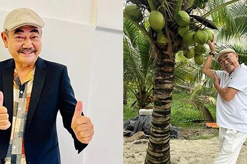 NSND nổi tiếng làng hài phía Nam sau nhiều năm ly hôn vẫn 'ở vậy', tuổi xế chiều ra sao?