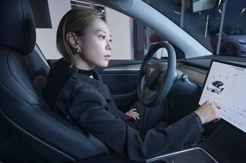 'Xạ thủ ngầu nhất hành tinh' bắt tay với Tesla, Louis Vuitton