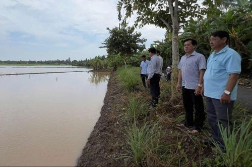 Hơn 570 ha lúa ngập sâu sau trận mưa lớn nhất 40 năm qua tại Bạc Liêu