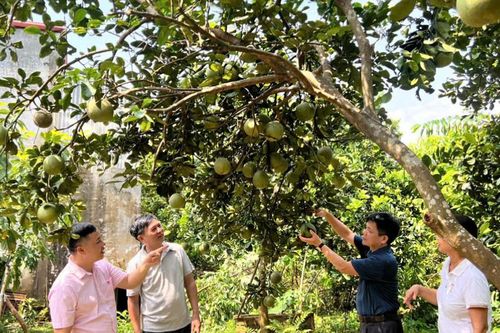Bài 2: Không để ai bị bỏ lại phía sau
