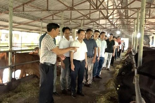 Huyện Mỹ Đức: Xây dựng cộng đồng doanh nghiệp phát triển bền vững