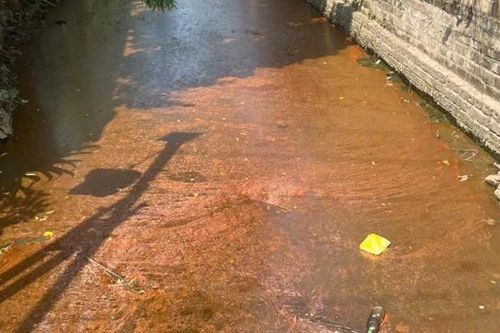 Hải Phòng: kênh thủy lợi Bắc Nam Hùng oằn mình kêu cứu