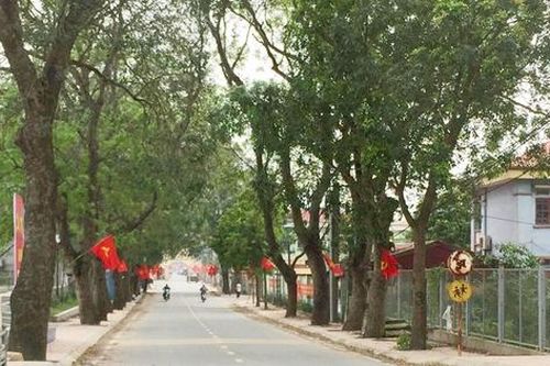 Thực hiện mục tiêu kép xây dựng nông thôn mới nâng cao gắn với tiến trình lên quận