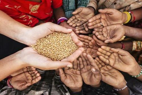 Liên hợp quốc ưu tiên ủng hộ xây dựng hệ thống lương thực thông minh