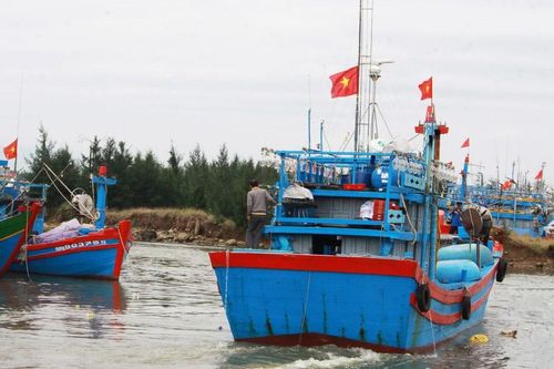 Cần tháo gỡ vướng mắc, tăng cường chính sách hỗ trợ ngư dân và nghề cá Quảng Ngãi