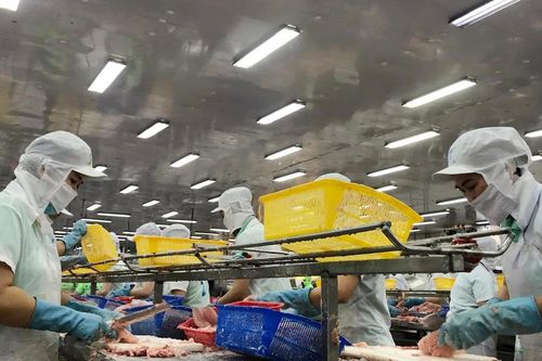 Ngày hội cá tra Đồng Tháp năm 2024 diễn ra ngày 16 và 17-11