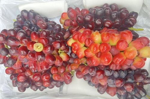 4 loại nho Trung Quốc 'làm mưa làm gió' chợ Việt