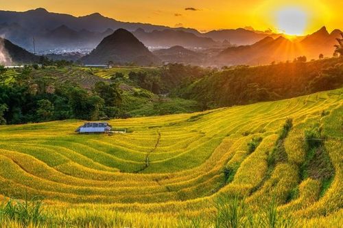 Ấn tượng mùa vàng Tả Lèng