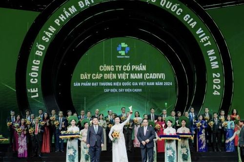 GELEX sở hữu 4 Thương hiệu quốc gia năm 2024