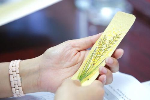 Học sinh, sinh viên sáng tạo 'biến' rơm thành giấy, gỗ, lương khô