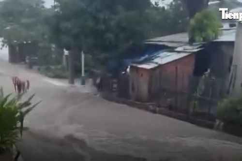 Mưa lớn, xã đảo ở Hội An nước cuồn cuộn như thác