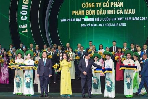 Phân bón Cà Mau lần thứ 6 liên tiếp đạt giải thưởng Thương hiệu Quốc gia