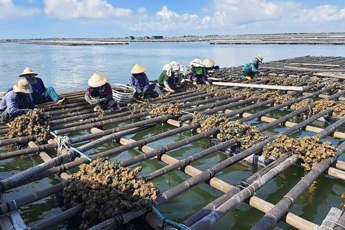 Quảng Ninh: Nhiều tiềm năng trở thành trung tâm thủy sản của miền Bắc