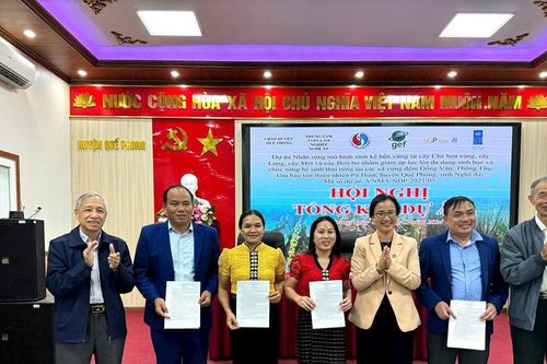 Mô hình sinh kế bền vững giúp Quế Phong thu hàng chục tỉ đồng mỗi năm