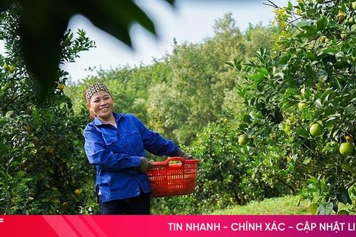Đợt mưa lớn ở Hà Tĩnh khi nào kết thúc?