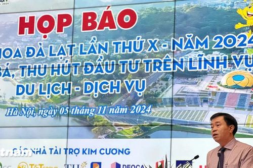 'Bản giao hưởng sắc màu' Festival Hoa Đà Lạt 2024 hấp dẫn với nhiều hoạt động