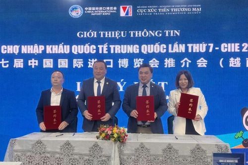 Nhiều sản phẩm, công nghệ mới ra mắt tại Hội chợ nhập khẩu quốc tế Trung Quốc