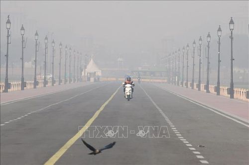 Sương mù độc hại bao trùm thủ đô New Delhi
