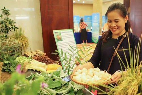 Lạng Sơn: Cùng phụ nữ miền núi phát triển thị trường, tìm đầu ra cho sản phẩm