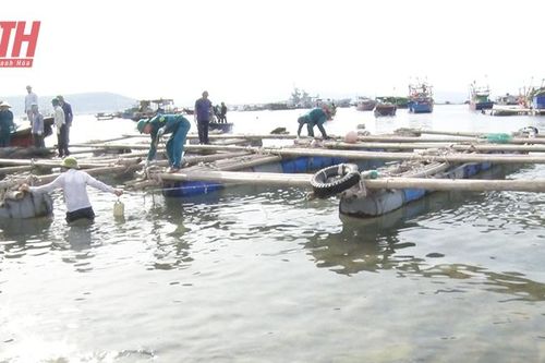 Thị xã Nghi Sơn tập trung giải quyết các vấn đề 'nóng', trọng điểm