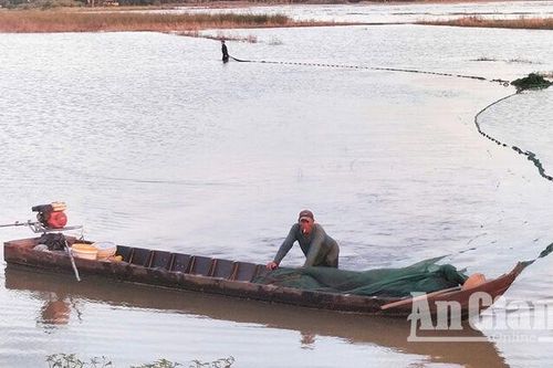 Theo nông dân thả lưới kéo cá