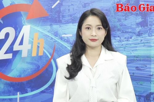 Gia Lai 24h: Chương trình 'Vũ khúc Dã quỳ-Chư Đang Ya 2024' sẽ có hơn 30 Báo Đảng địa phương chia sẻ Livestream từ Báo Gia Lai