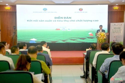 Diễn đàn 'Kết nối sản xuất và tiêu thụ chè chất lượng cao'