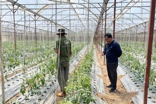 Nỗ lực vận động hội viên chuyển đổi cơ cấu cây trồng, vật nuôi