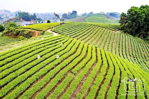 Đại Từ phát triển du lịch xanh