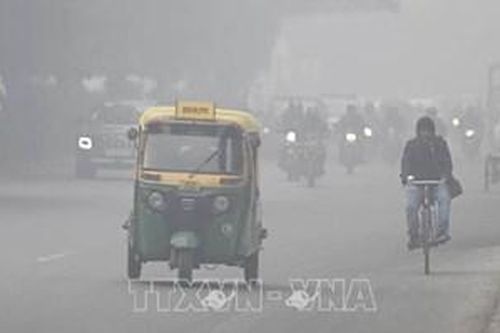 Không khí ô nhiễm nặng, Ấn Độ phạt các công trường, chủ xe gây ô nhiễm