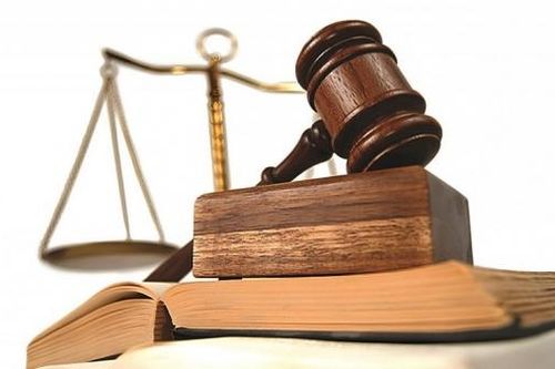 Sai phạm về thuế, D2D bị phạt và khắc phục hậu quả hơn 865 triệu đồng