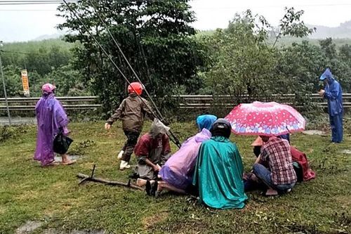 Thấy khỉ leo cột điện, người đàn ông ra đuổi, không may bị điện giật tử vong