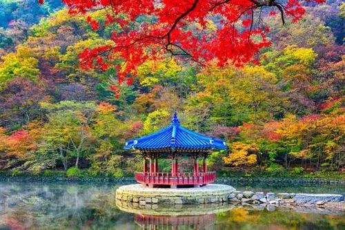Khám phá những điểm đến mới ở Hàn Quốc