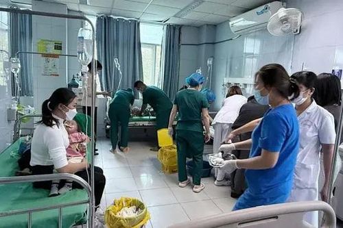 Bác sĩ BV Bạch Mai lên Lai Châu cứu trẻ ngộ độc