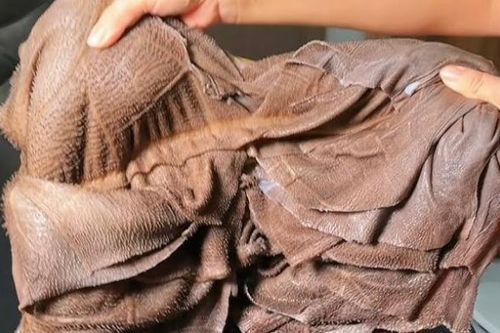 Bộ phận của bò nhìn bẩn nhưng bổ dưỡng