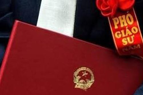Giáo sư trẻ tuổi nhất năm 2024 là ai?