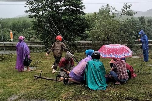 Thanh niên tử vong vì đuổi khỉ trên cột điện trong mưa