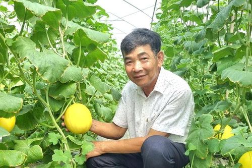 Nông dân xuất sắc 2024 tại Ninh Bình: Tích cực dồn điền đổi thửa