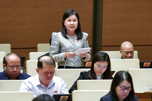Đại biểu Quốc hội: quy hoạch phải đi trước một bước