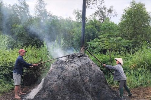 Nhiều cây rơm bị cháy chưa rõ nguyên nhân