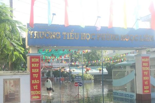 Bạc Liêu: Mưa lớn kết hợp triều cường ảnh hưởng lớn tới đời sống, sản xuất