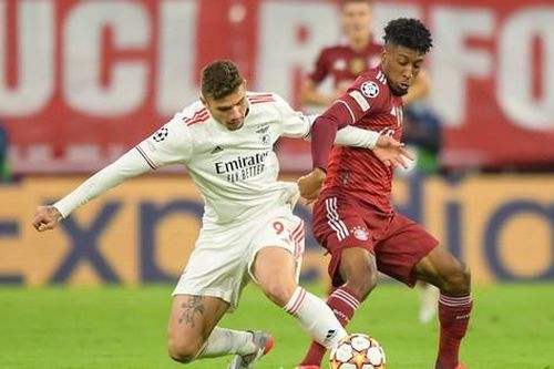 Nhận định Bayern vs Benfica, 3h00 ngày 7/11: Tiếng gầm Hùm xám