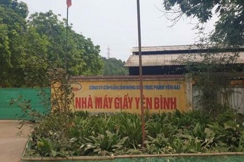 Yên Bái: Tai nạn lao động tại nhà máy giấy, một người tử vong