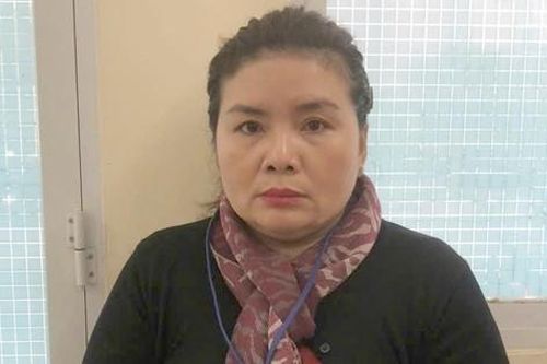 Bắt nữ giám đốc công ty đo đạc bản đồ ở TPHCM