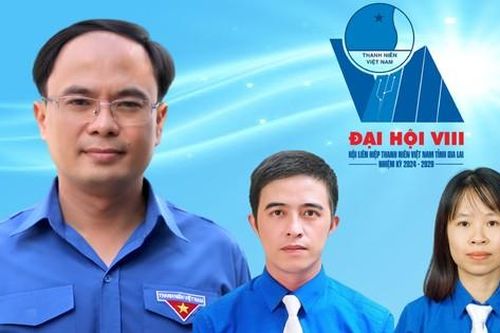 Ủy ban Hội LHTN Việt Nam tỉnh Gia Lai nhiệm kỳ 2024 - 2029