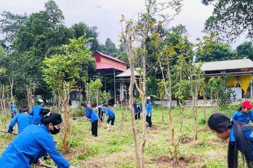 Nhiều hoạt động ý nghĩa hưởng ứng tình nguyện mùa Đông