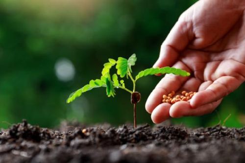 Những ý kiến tâm huyết sửa đổi Luật Thuế GTGT