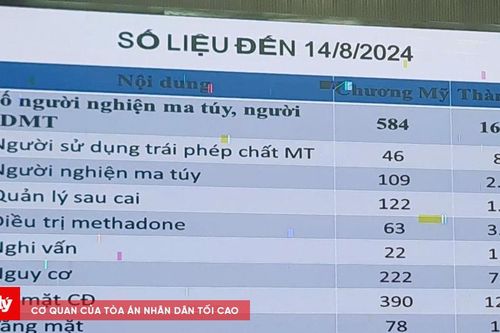 Tập huấn công tác cai nghiện, quản lý sau cai cho cán bộ làm công tác phòng, chống tệ nạn xã hội